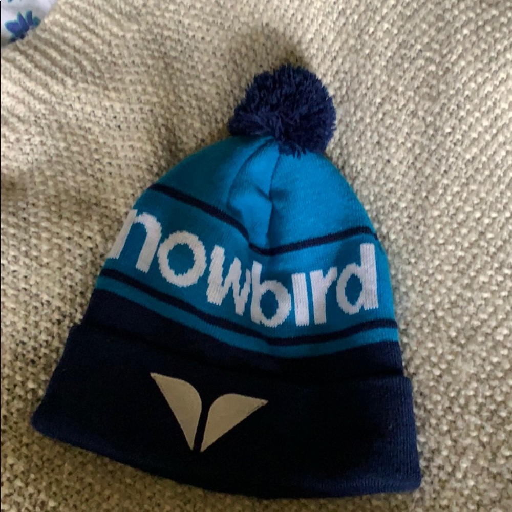 Snowbird Beanie
